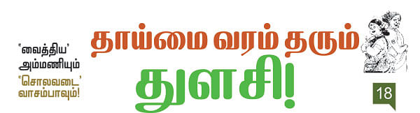 'வைத்திய' அம்மணியும் 'சொலவடை' வாசம்பாவும்!