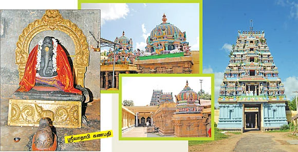 ஆரோக்கியம் அருளும் ஆலய விருட்சங்கள்!