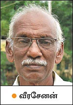 கஜா சாய்த்த தென்னை மரங்கள்... உயிர் பிழைப்பது சாத்தியமா?