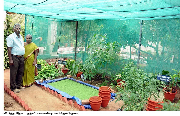 வீட்டுக் கழிவு நீரில் செழிக்கும் செடிகள்!