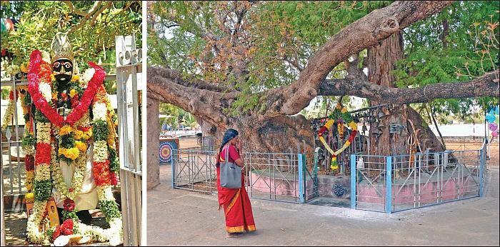 மண்... மக்கள்... தெய்வங்கள்! - 23 - வீரன் வாளுக்கு வேலி