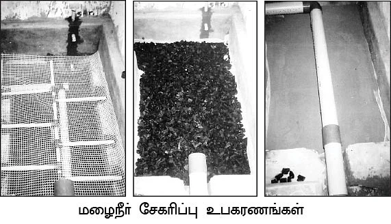 மழைநீர்தான் மனிதனுக்கான சரிவிகித உணவு!