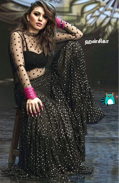 மிஸ்டர் மியாவ்