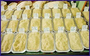 ‘ஊர்’வலம் - திருவள்ளூர்