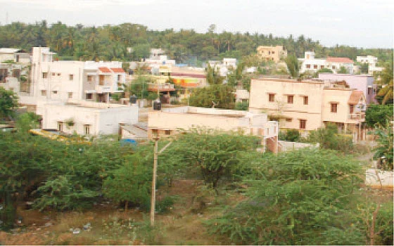 நெஞ்சை அள்ளும் தஞ்சை!
