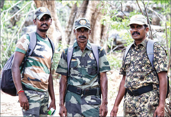 காட்டின் கதாநாயகர்கள்!
