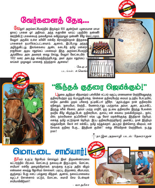 வேர்களைத் தேடி...