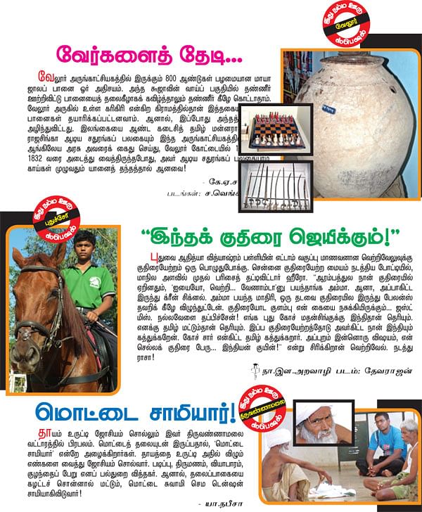 வேர்களைத் தேடி...