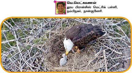 சுட்டி ஸ்டார் நியூஸ்...