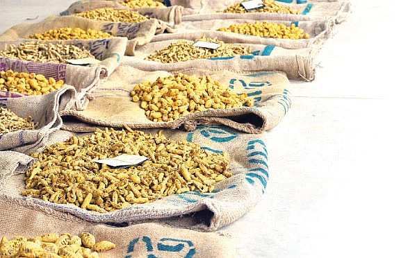 50 ஏக்கரில்... உலக மஞ்சள் மார்க்கெட்!