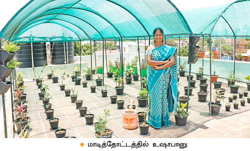 வீட்டுக்குள் விவசாயம் - 18