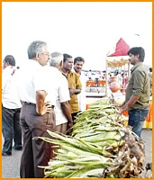 மூட்டுவலிக்கு முடக்கத்தான்... ஆயுளை நீட்டிக்க ஆவாரம் பூ!