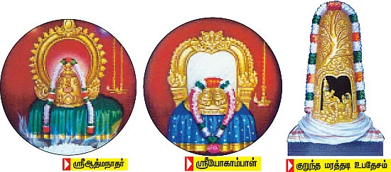 ஆவுடையார்கோவில் அற்புதம்!