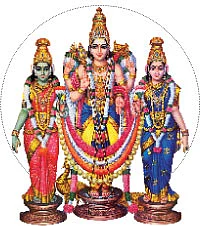 விசாக தரிசனம்! - திண்டுக்கல்