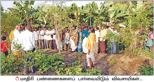 தமிழ்நாட்டில்... பைசா செலவில்லாத பசுமைப் புரட்சி!