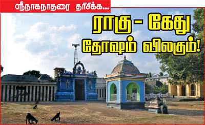 ஸ்ரீநாகநாதரை தரிசிக்க... ராகு - கேது தோஷம் விலகும்!