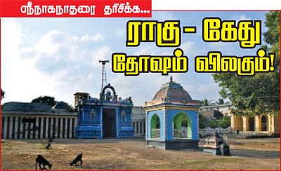 ஸ்ரீநாகநாதரை தரிசிக்க... ராகு - கேது தோஷம் விலகும்!