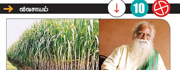 பத்து பிரச்னைகளை பத்துப் பேர் அலசுகிறார்கள்!