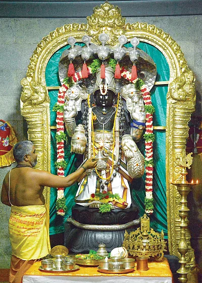 ஒரே நாளில்... 16 தெய்வத் திருமணங்கள்!