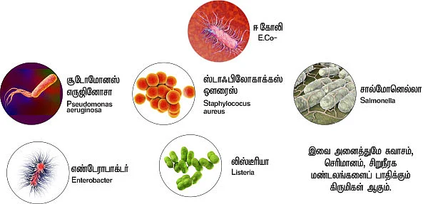 டாய்லெட் ஹைஜீன்