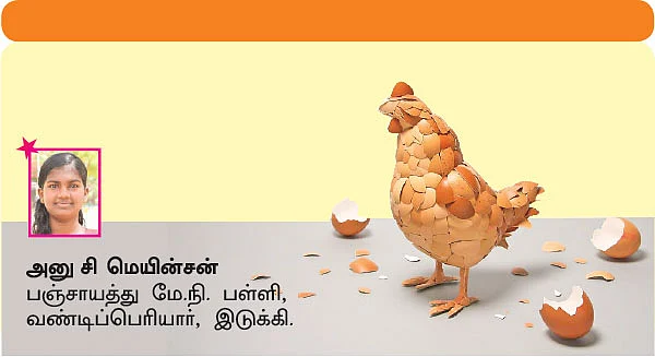சுட்டி ஸ்டார் நியூஸ்!