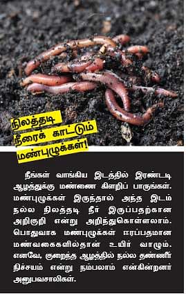 பாதுகாப்பும், பட்டா பெயர் மாற்றமும்!
