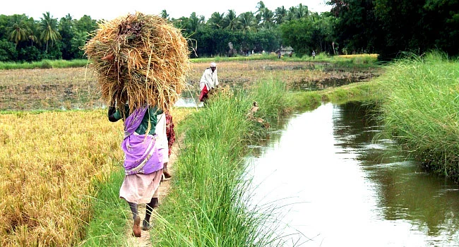 சொட்டுநீர்ப் பாசனம்...