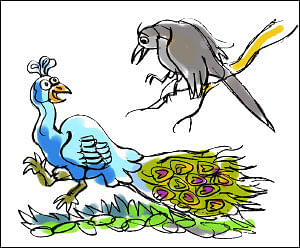 நாங்களும் கடிப்போம்!
