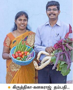 வீட்டுக்குள் விவசாயம் - 5