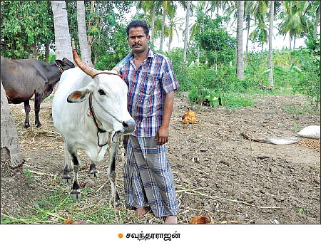விதை முதல் விளைபொருள் விற்பனை வரை...வழிகாட்டும் ஓசூர் டி.வி.எஸ் நிறுவனம்!