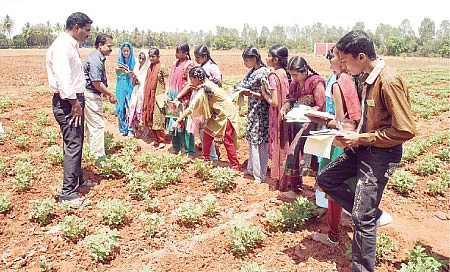 நல்லதைக் கொடுக்கும் வம்பன் !