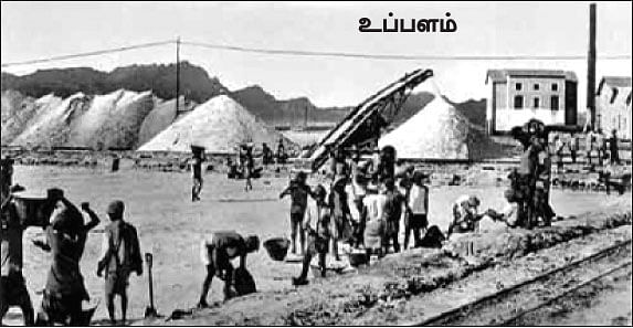 எனது இந்தியா!