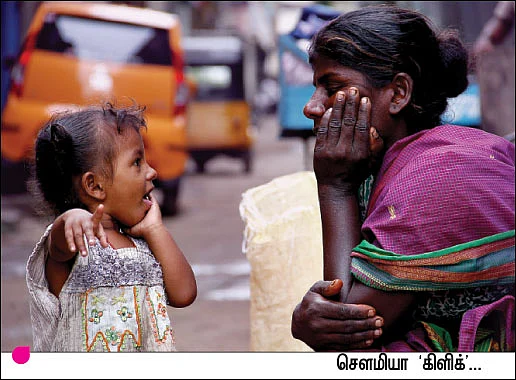 காட்டையே கேமராக்குள்ள பிடிக்கணும் !