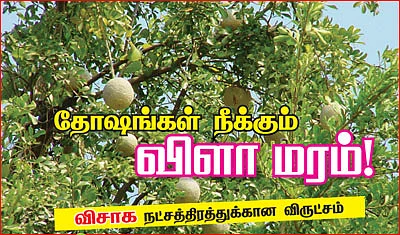 ஆரோக்கியம் அருளும் ஆலய விருட்சங்கள்!