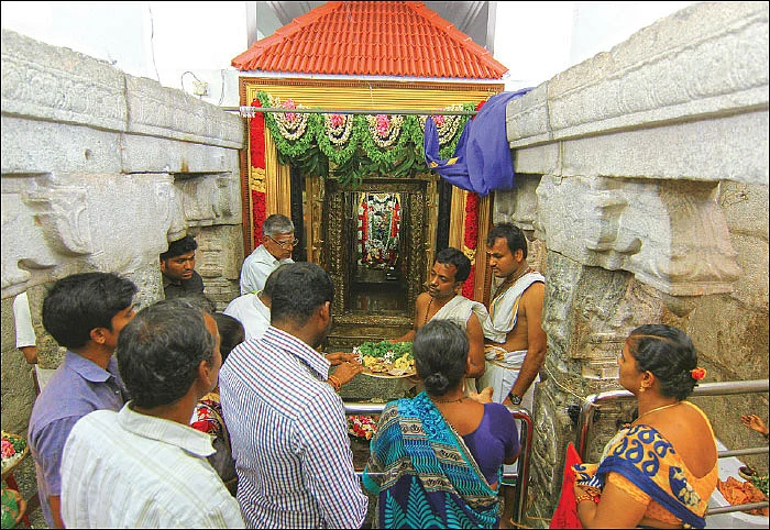 நிலப் பிரச்னைகள் தீரும் நிம்மதி பிறக்கும்! - மேல்பொதட்டூர் தரணி வராகர் தரிசனம்