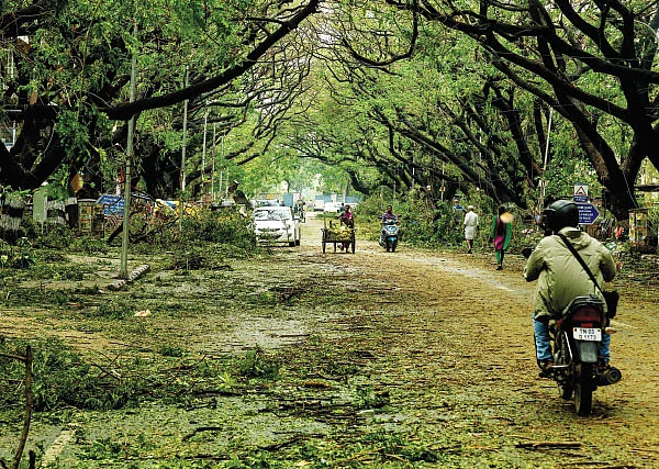 ஆயிரம் சூரியன் ஆயிரம் சந்திரன் ஒரே ஒரு பூமி - 29
