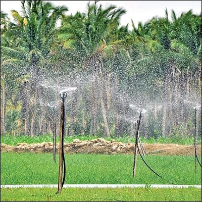 சொட்டுநீர்ப் பாசனம் - பயிருக்கு மட்டும் பாசனம் செய்வோம்!