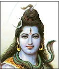 'கோவிந்தா... கோபாலா...’