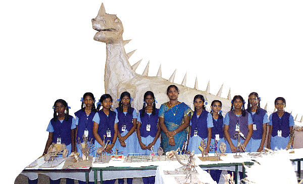 பின்னி எடுத்த தென்னை உருவங்கள்!
