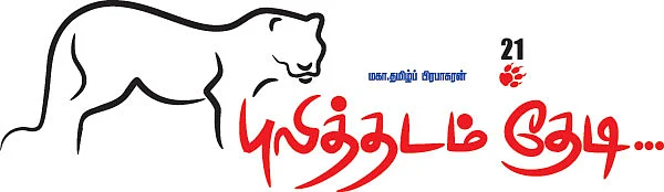 புலித்தடம் தேடி...