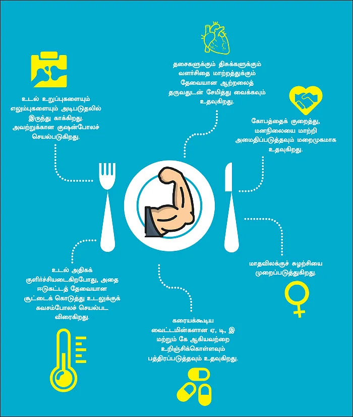 கொழுப்பு நல்லது