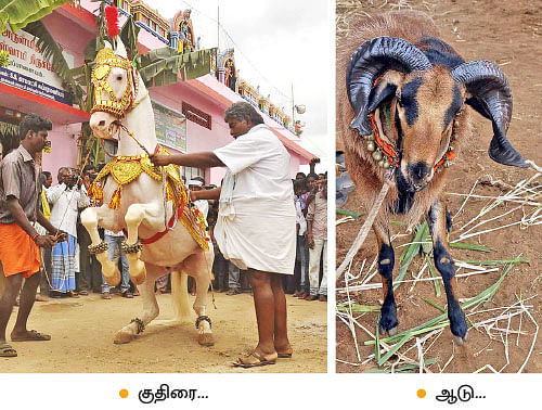 குதிரை ரூ.25 லட்சம்...நாய் ரூ.85 ஆயிரம் !