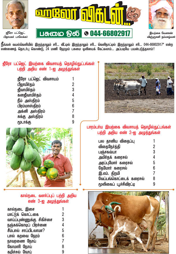 பசுமை ஒலி!