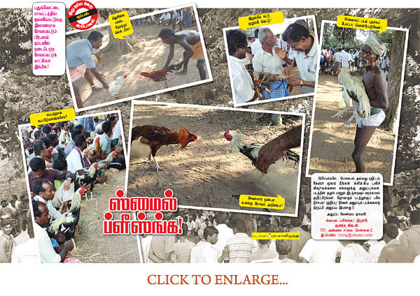 ஸ்மைல் ப்ளீஸ்ங்க!