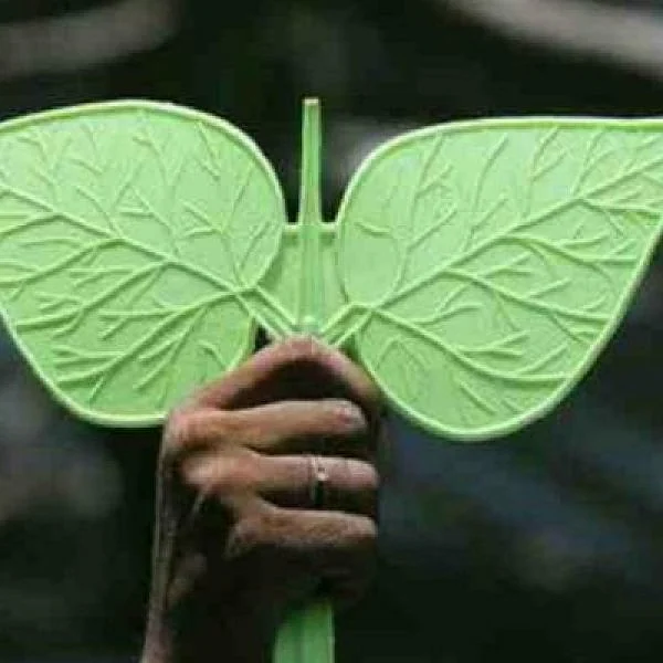 அ.தி.மு.க- 'இரட்டை இலை'