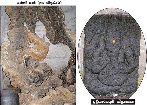 அரசர்களுக்கு உதவி செய்த வட்டப் பாறை!