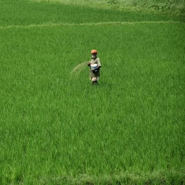 உர விற்பனை