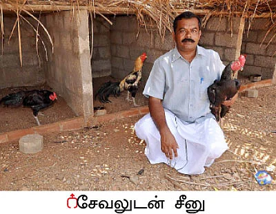 பஞ்சகவ்யா! - 18 - தினமும் 20 லிட்டர் பால்... மாதம் ரூ.60 ஆயிரம் வருமானம்!