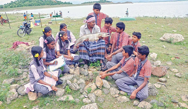 மீன்களும் நாங்களும்...