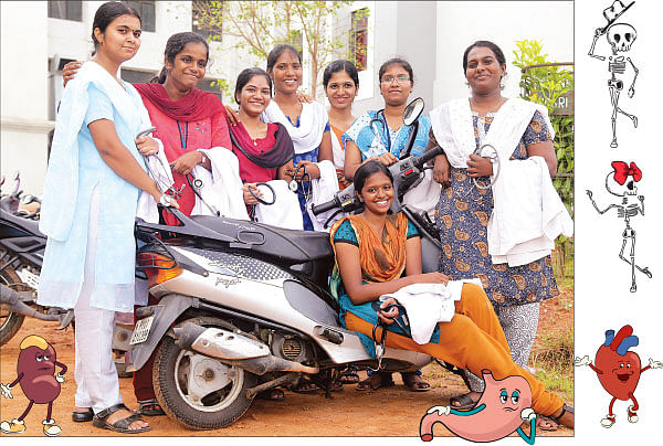 மண்டை ஓடு, மூளை, ரத்த உறிஞ்சல்...